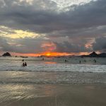 Lombok whatsapp image 2025 11 05 at 08.25.12 (2)